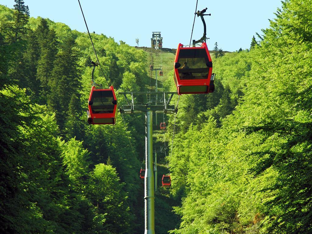 Azuga Ski & Bike Resort Luaran gambar